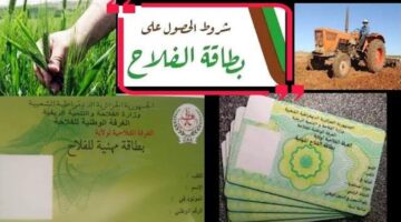 رابط استخراج بطاقة الفلاح في الجزائر 2024 والشروط المطلوبة