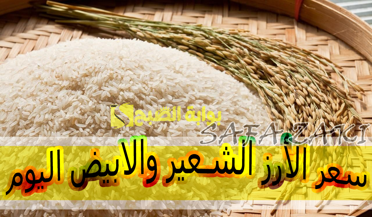 الطن بكام  النهاردة.. سعر طن الأرز الشعير والأبيض اليوم الثلاثاء 15 أكتوبر 2024 في الأسواق المصرية والتموين