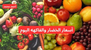 سعر الخضار والفاكهه اليوم الخميس 17 10 2024