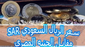 سعر الريال السعودي مقابل الجنيه المصري 1
