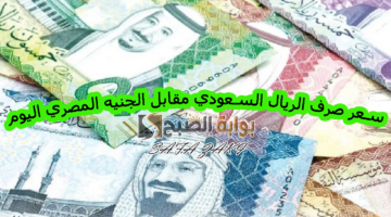 سعر صرف الريال السعودي مقابل الجنيه المصري اليوم