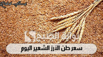 سعر طن الأرز الشعير اليوم 1