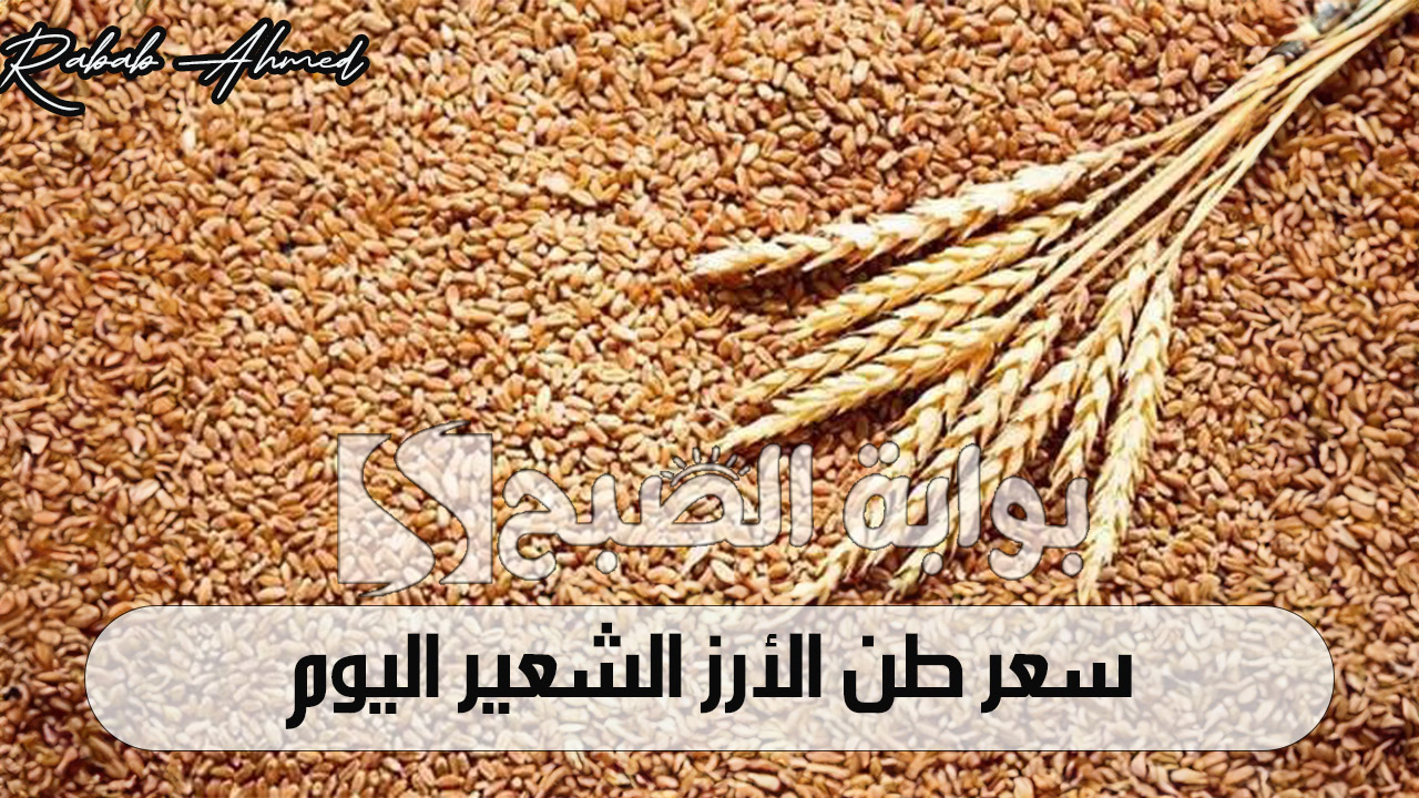 سعر طن الأرز الشعير اليوم الثلاثاء 15 أكتوبر 2024 وأسعار السلع الأساسية 5 سعر طن الأرز الشعير اليوم الثلاثاء 15 أكتوبر 2024 وأسعار السلع الأساسية