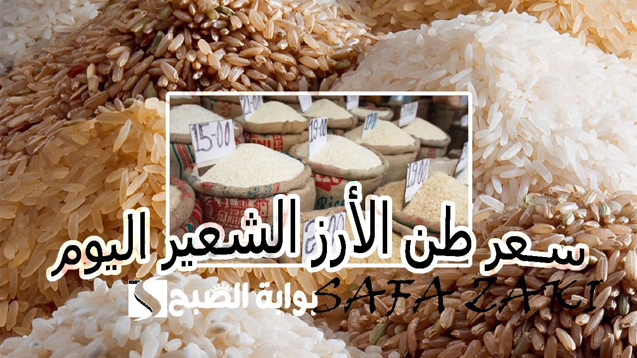 سعر حبة الرز “عريض ورفيع” بكام .. سعر طن الأرز الشعير اليوم الأثنين 28 أكتوبر 2024 جميع منافذ البيع فى المحافظات