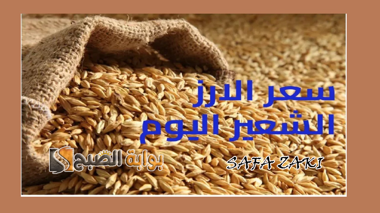 بكام “عريض ورفيع”.. سعر طن الأرز الشعير اليوم الأربعاء 2 أكتوبر 2024 في الأسواق والمنافذ التجارية واخر اسعار السلع الغذائية