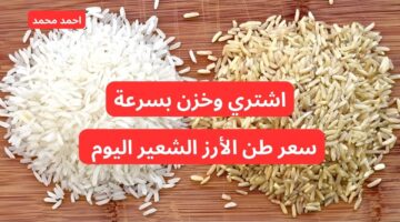 سعر طن الأرز الشعير اليوم الإثنين 28 أكتوبر 2024 في الأسواق