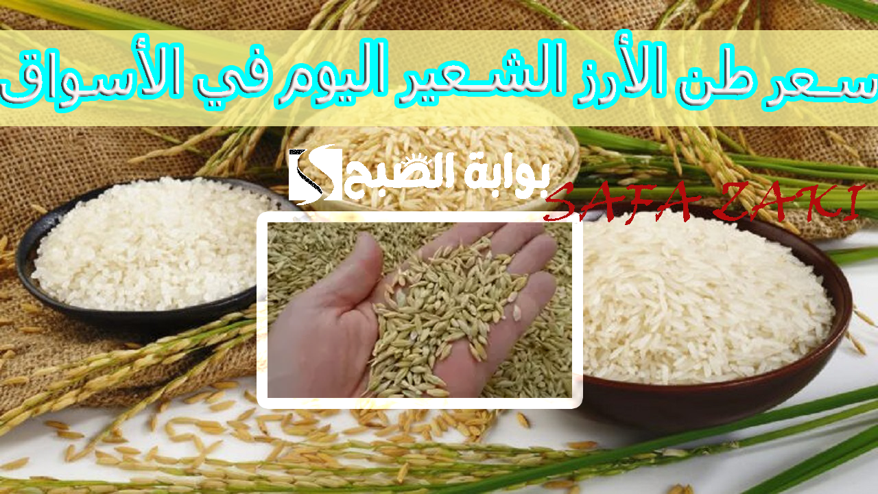 بكام اليوم “رفيع وعريض الحبة”.. سعر طن الأرز الشعير اليوم السبت 26 أكتوبر 2024 في الأسواق للتاجر والمستهلك