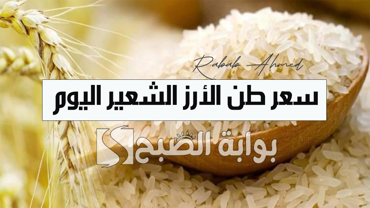 "بكام النهاردة".. سعر طن الأرز الشعير اليوم الجمعة 11 أكتوبر 2024 وأسعار السلع الاساسية في الأسواق 5 “بكام النهاردة”.. سعر طن الأرز الشعير اليوم الجمعة 11 أكتوبر 2024 وأسعار السلع الاساسية في الأسواق