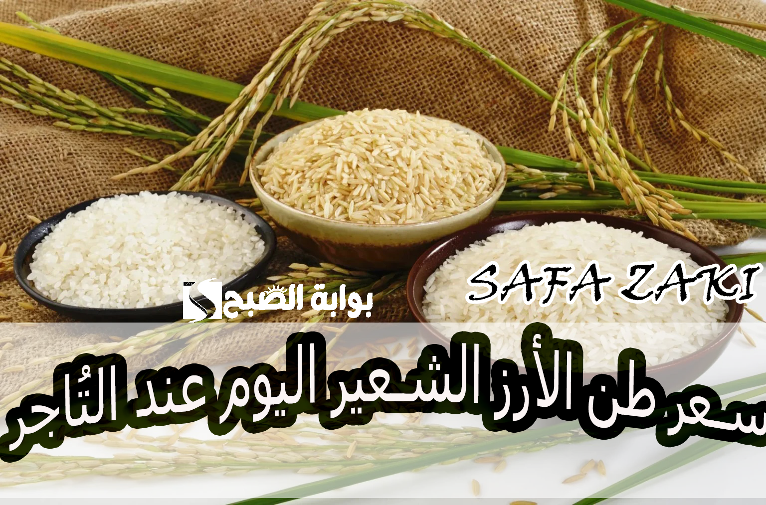 بعد التراجع "الطن وصل بكام".. سعر طن الأرز الشعير اليوم الخميس 17 أكتوبر 2024 بكام شيكارة الأرز عند التاجر 5 بعد التراجع “الطن وصل بكام”.. سعر طن الأرز الشعير اليوم الخميس 17 أكتوبر 2024 بكام شيكارة الأرز عند التاجر