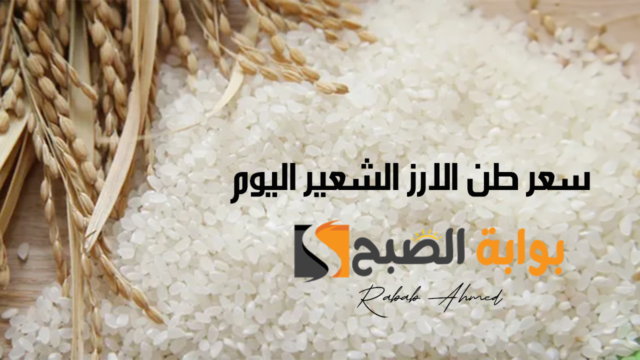 كم سعر طن الارز الشعير اليوم الأحد 13 أكتوبر 2024 وأسعار السلع الاستهلاكية في السوق المصري