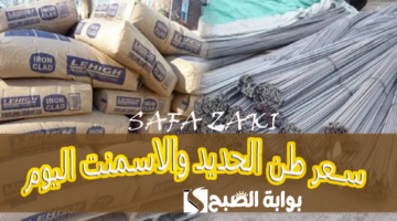 سعر طن الحديد والاسمنت اليوم