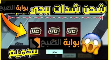 شحن شدات ببجي