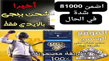 شحن شدات ببجي 2