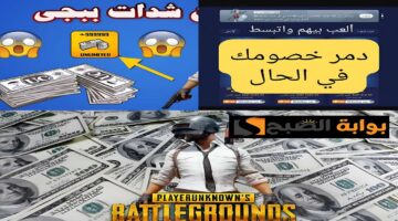 شحن شدات ببجي 3