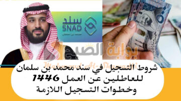 شروط التسجيل في سند محمد بن سلمان للعاطلين عن العمل 1446 وخطوات التسجيل اللازمة