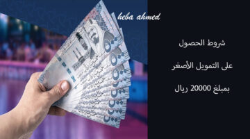 شروط التمويل الأصغر