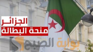 شروط الحصول على منحة البطالة بالجزائر 2024