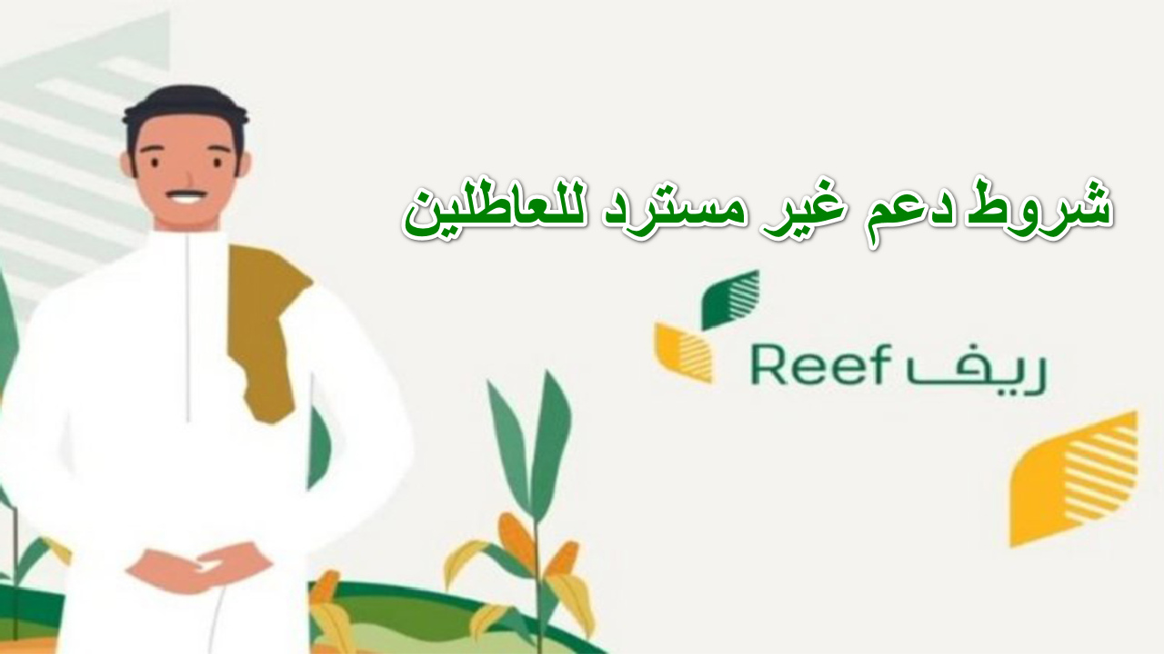 “حقق حلمك وأبدأ مشروعك الآن” شروط دعم غير مسترد للعاطلين “ريف” … تابع التفاصيل