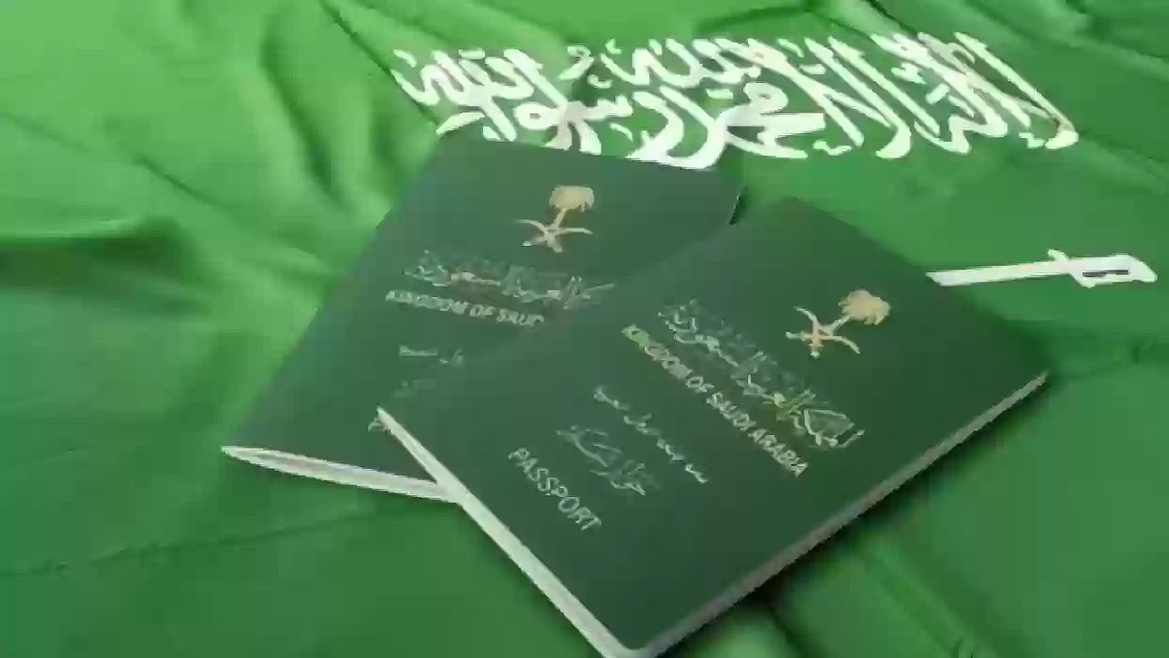 “برقم الهوية الوطنية والإيميل” شروط وخطوات استخراج تأشيرة الزيارة الشخصية السعودية 1446/2024