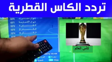 ضبط تردد قناة الكاس المفتوحة HD 2024 على عربسات والنايل سات 2024 Alkass Sports 1 1