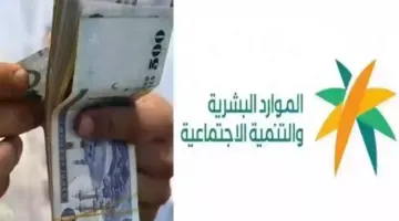 ضمان مطور