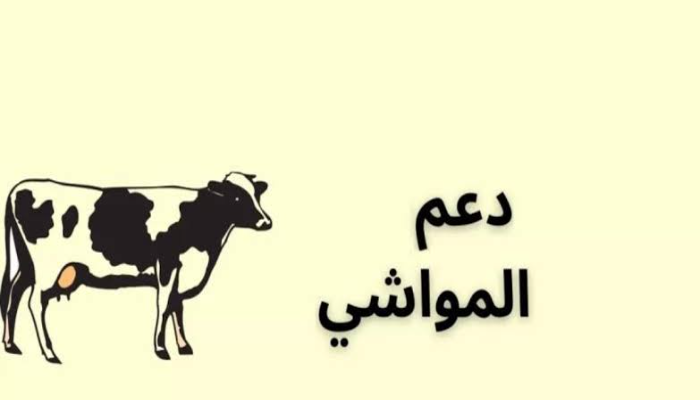 وزارة الزراعة تجيب.. ما هي حقيقة تمديد موعد صرف دعم المواشي 1446