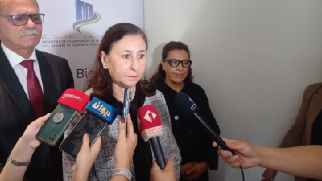 من هي عفاف الشاشي الطياري وزارة الصناعة والمناجم والطاقة الجديدة بتونس؟