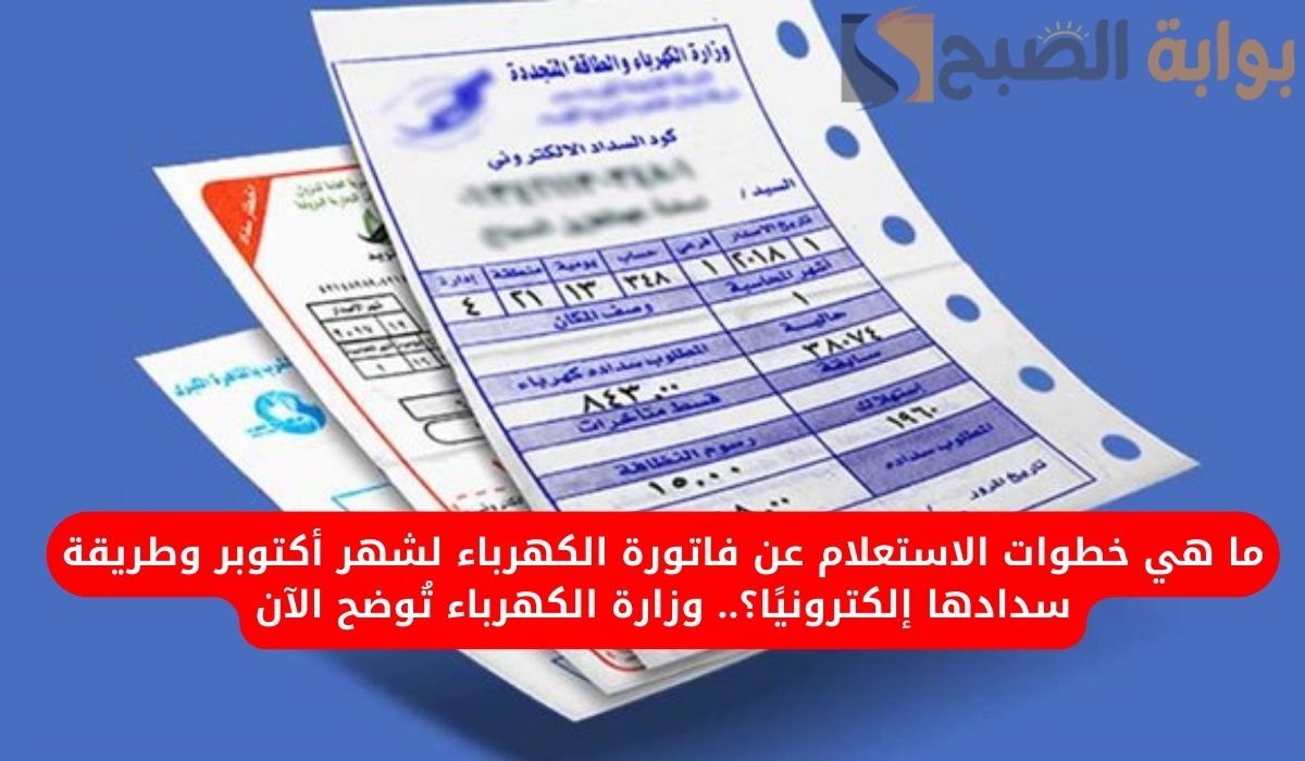 ما هي خطوات الاستعلام عن فاتورة الكهرباء لشهر أكتوبر وطريقة سدادها إلكترونيًا؟.. وزارة الكهرباء تُوضح الآن