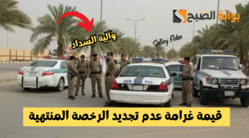 قيمة غرامة عدم تجديد الرخصة المنتهية