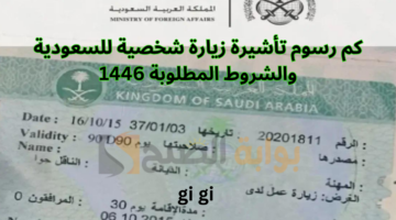 كم رسوم تأشيرة زيارة شخصية للسعودية والشروط المطلوبة 1446