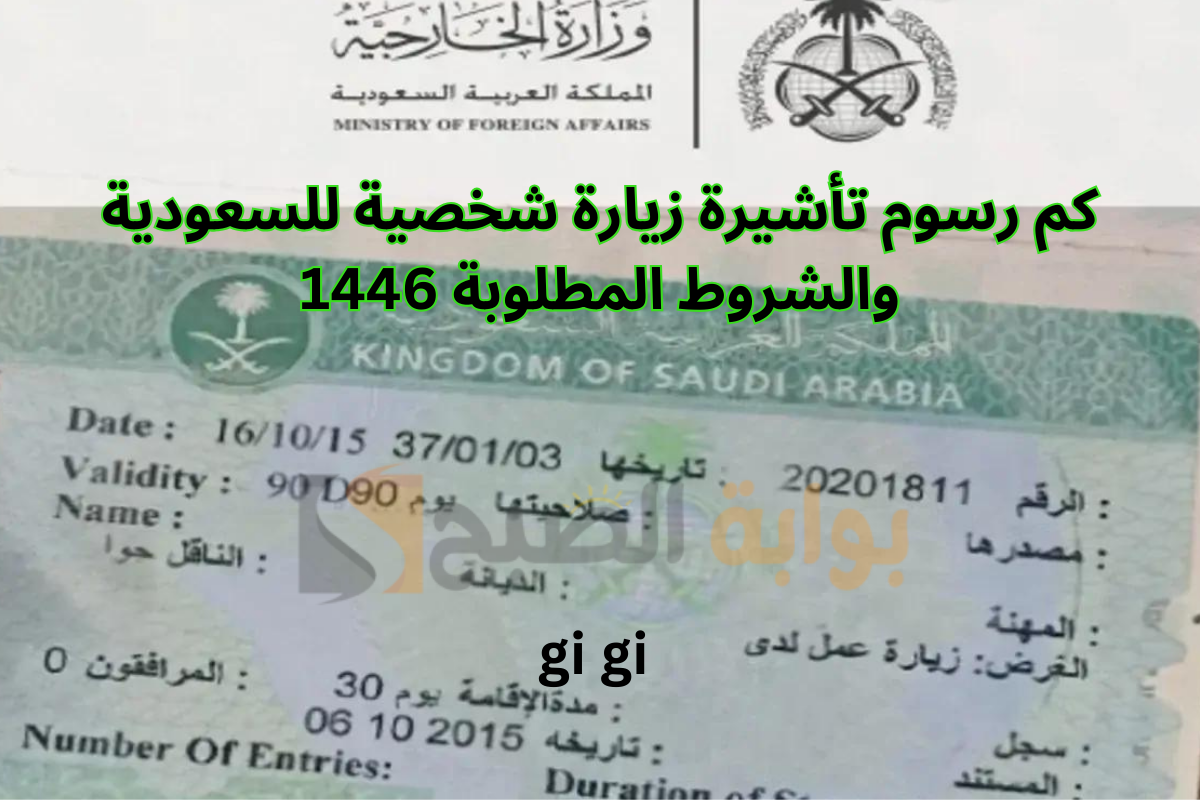 كم رسوم تأشيرة زيارة شخصية للسعودية والشروط المطلوبة 1447؟ دليل شامل 2 كم رسوم تأشيرة زيارة شخصية للسعودية والشروط المطلوبة 1447؟ دليل شامل