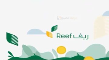 كم مدة دراسة دعم ريف