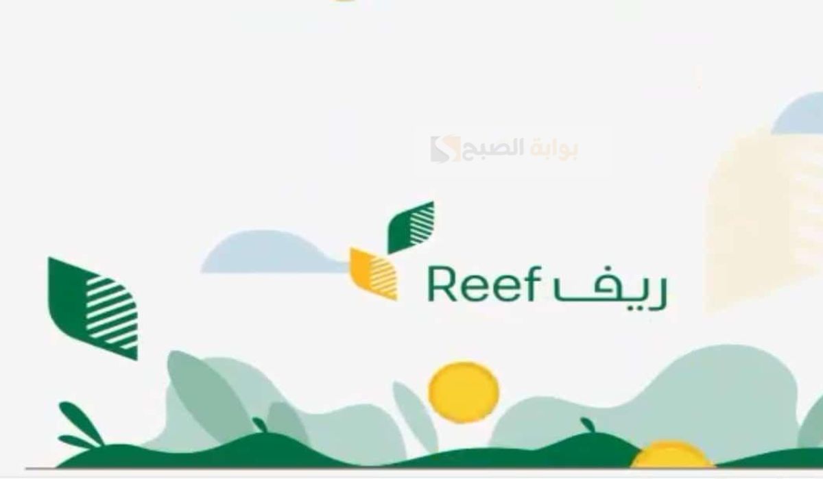 كم مدة دراسة دعم ريف 1446 ومعنى حالة الطلب تحت الدراسة 2 كم مدة دراسة دعم ريف 1446 ومعنى حالة الطلب تحت الدراسة