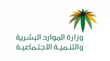كيف تحسب استحقاقك للضمان الاجتماعي المطور والشروط المطلوبة للتسجيل