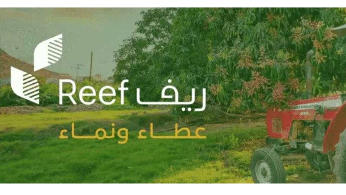 كيفية الاستعلام عن دعم ريف 1446 برقم الهوية وشروط التسجيل