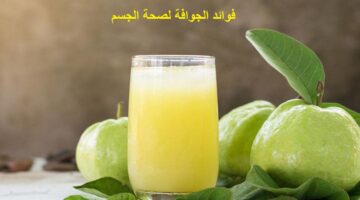ما هي فوائد الجوافة لصحة الجسم ؟ أسباب تجعلها الفاكهة الأمثل للصحة