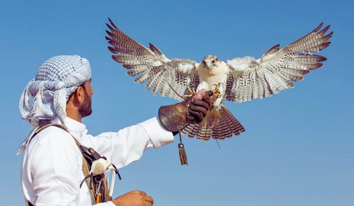 معرض الصقور 2024 .. طريقة التسجيل في معرض الصيد السعودي الدولي وخطوات الشراء وموعد نهايته