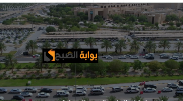 مكافأة الطلاب جامعة القصيم 11 e1729701609453