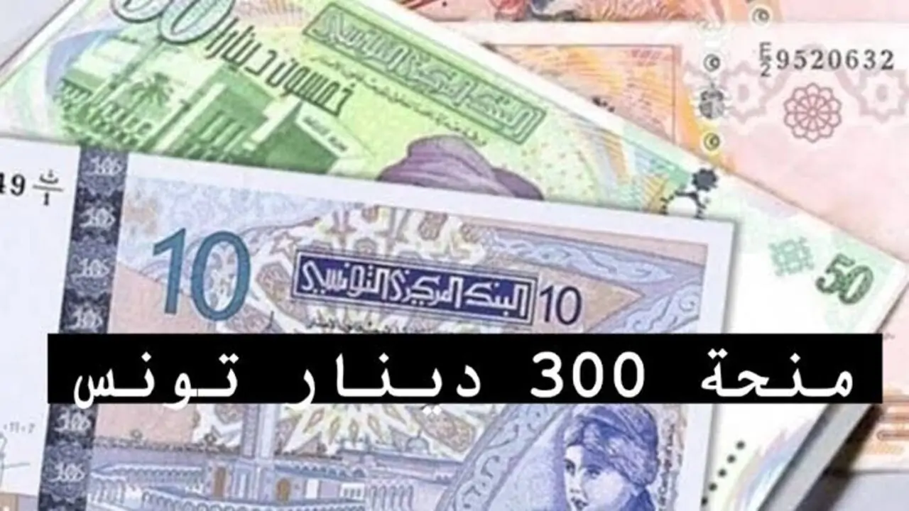 وزارة الشؤون الاجتماعية توفر لينك التسجيل في منحة 300 دينار تونس 2024 عبر social.gov.tn