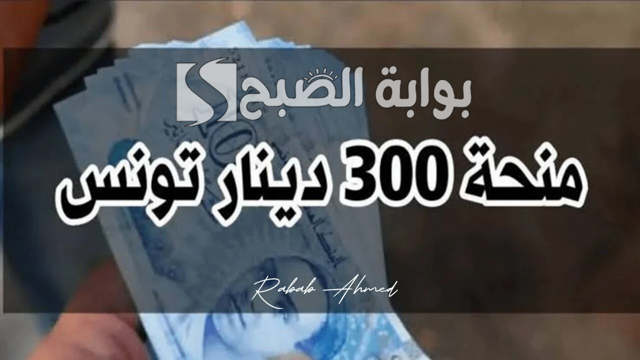 وزارة الشؤون الاجتماعية تقدم خطوات التسجيل في منحة 300 دينار تونسي social.gov.tn للعائلات المعوزة 2024 5 وزارة الشؤون الاجتماعية تقدم خطوات التسجيل في منحة 300 دينار تونسي social.gov.tn للعائلات المعوزة 2024