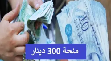 منحة استثنائية. رابط التسجيل في منحة 300 دينار تونسي 2024 وشروط الاستفادة من المنحة