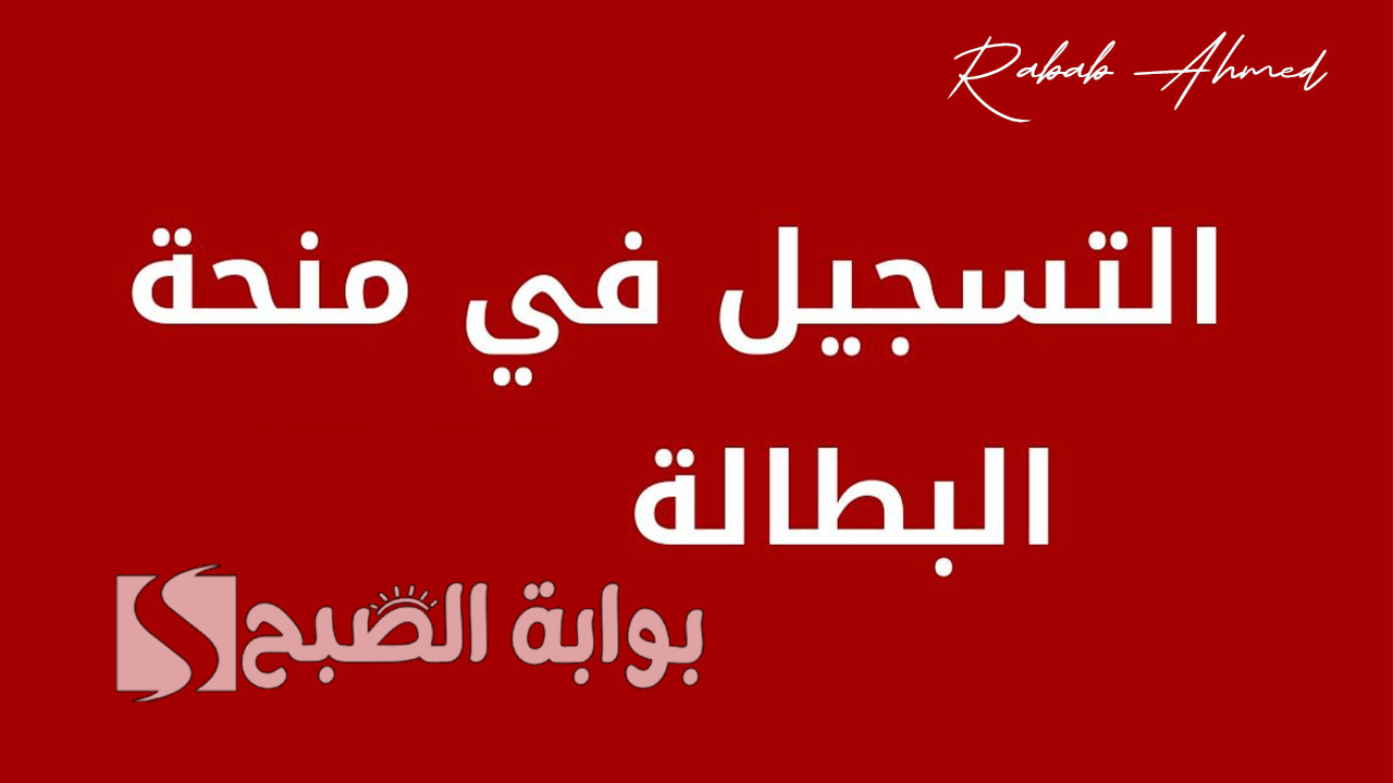 الوكالة الوطنية للتشغيل توضح.. رابط التسجيل في منحة البطالة 2024 الجزائر وشروطها