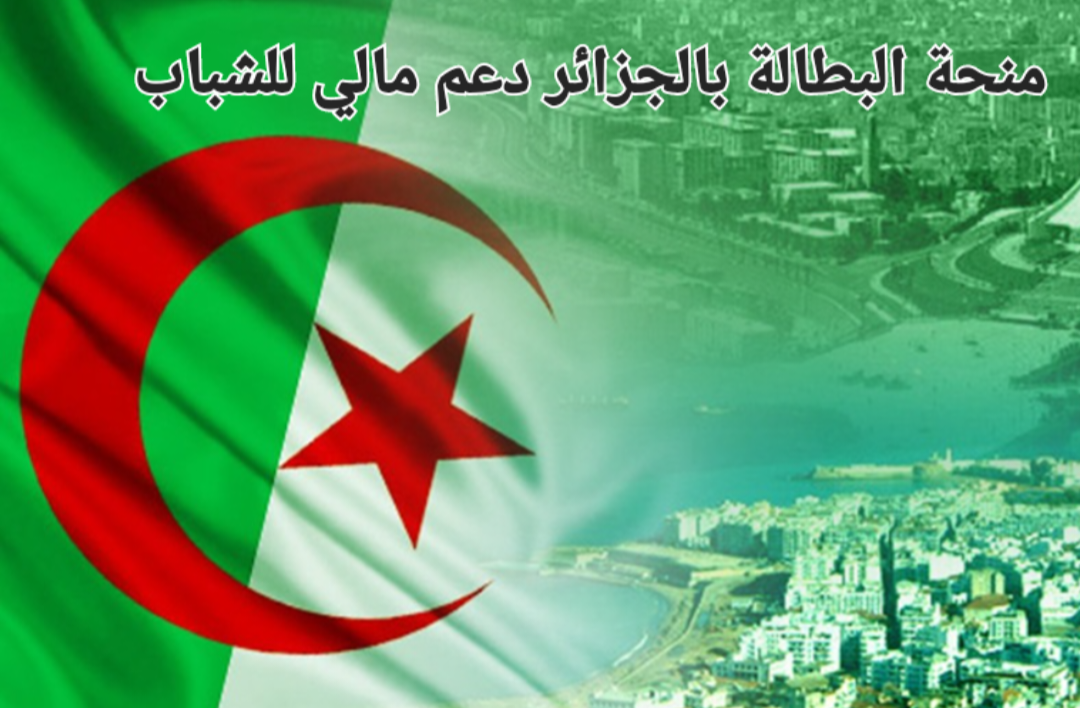 رابط تسجيل منحة العاطلين بالجزائر 2024 برقم الهوية من موقع الوكالة الوطنية