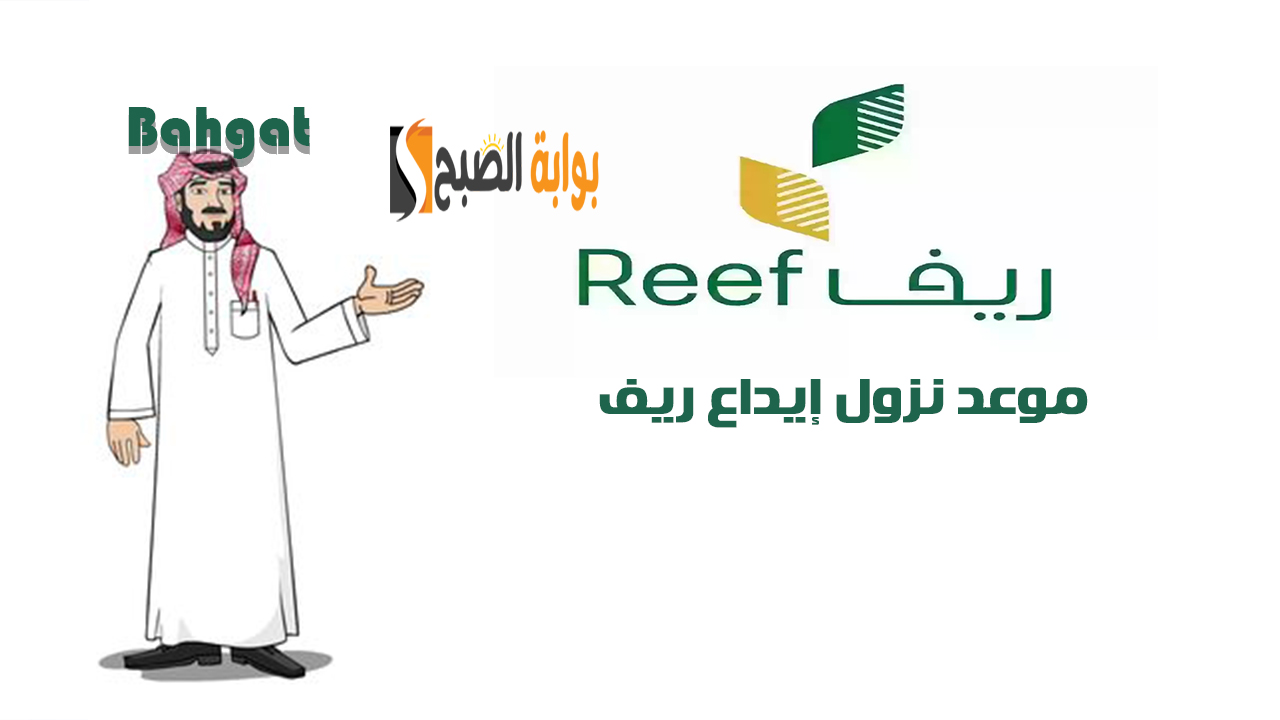 موعد نزول دفعة دعم ريف شهر فبراير 2025 لجميع المستفيدين وخطوات الاستعلام
