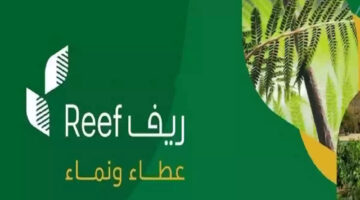 موعد الدعم الريفي