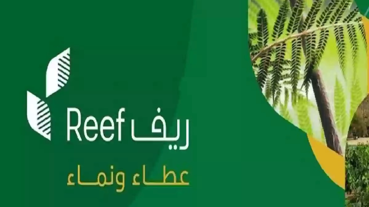 بشرى سارة للمزارعي المملكة... وزارة البيئة والمياه والزراعة تحدد وعد الدعم الريفي والشروط المطلوبة 2 بشرى سارة للمزارعي المملكة… وزارة البيئة والمياه والزراعة تحدد وعد الدعم الريفي والشروط المطلوبة