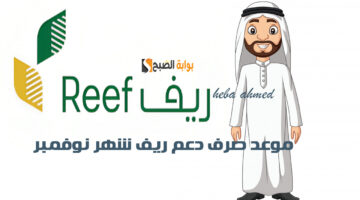 موعد نزول دعم ريف