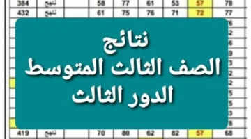 نتائج الثالث متوسط 2024 الدور الثالث البصرة وذي قار