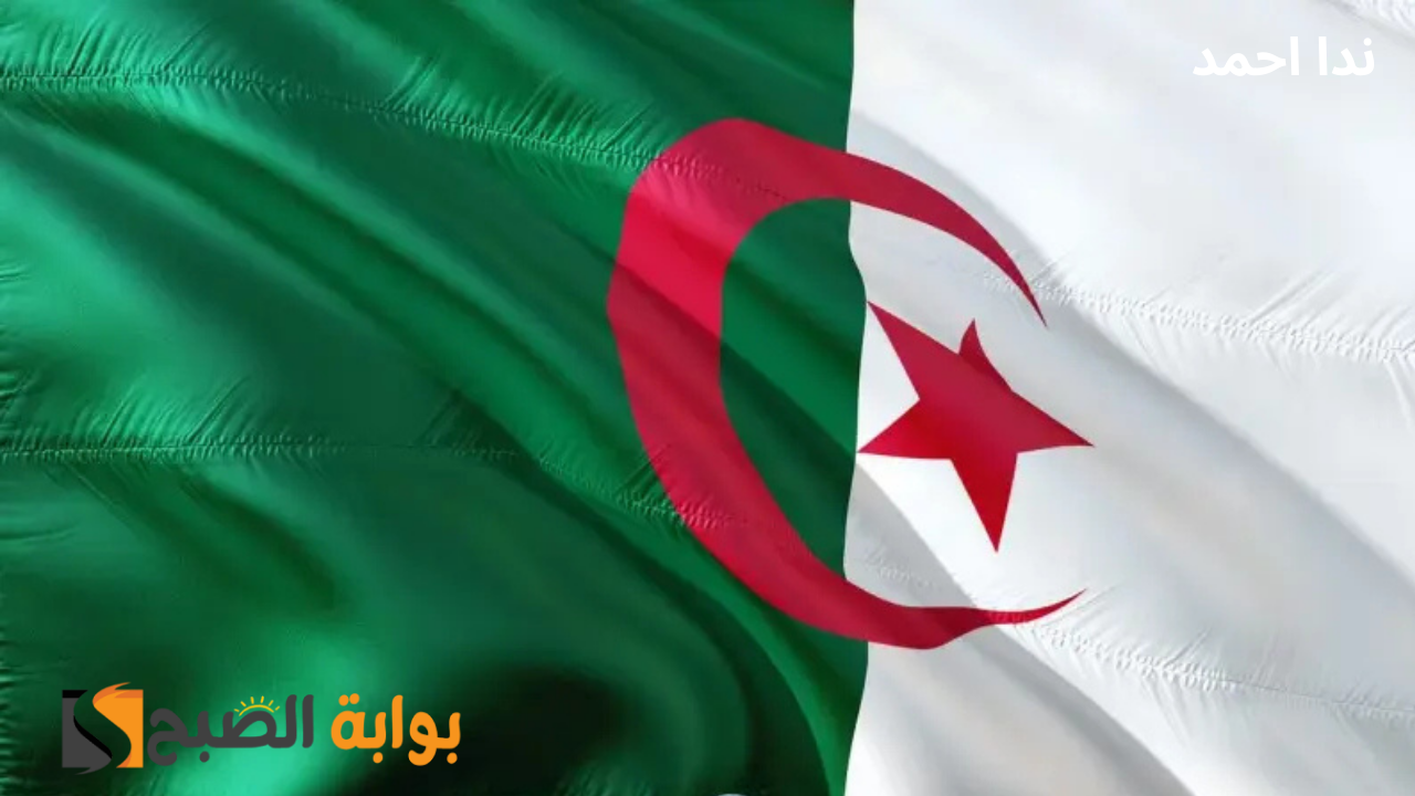 سن التقاعد للنساء في الجزائر 2024 بعد التعديلات الأخيرة