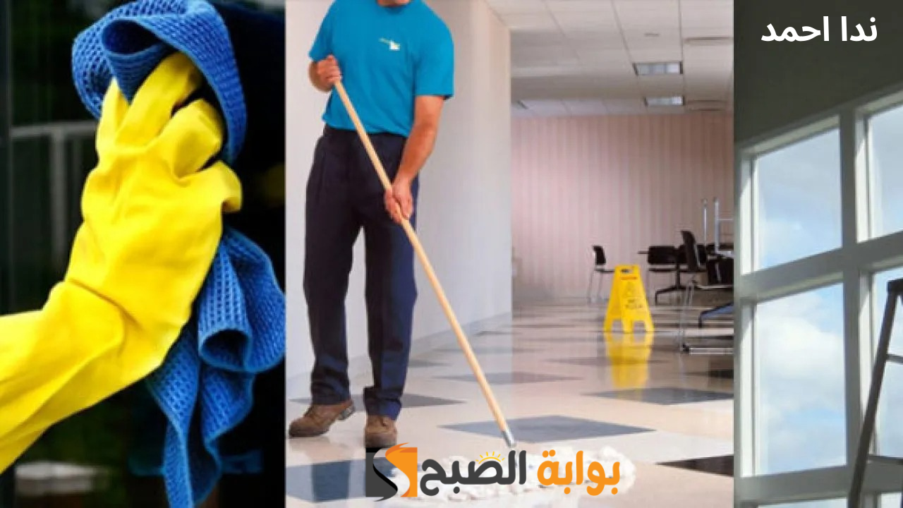 طريقة بسيطة وسهلة لـ تنظيف المفروشات من البقع بشكل نهائي